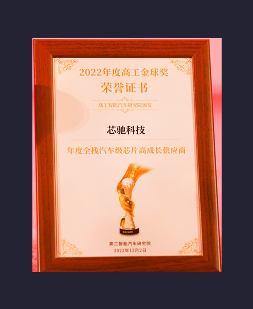 年度全栈汽车级芯片高成长供应商