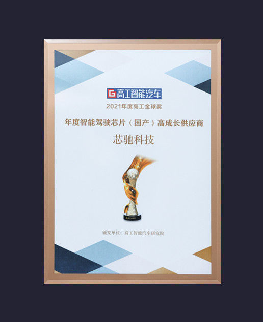 年度智能驾驶芯片（国产）高成长供应商
